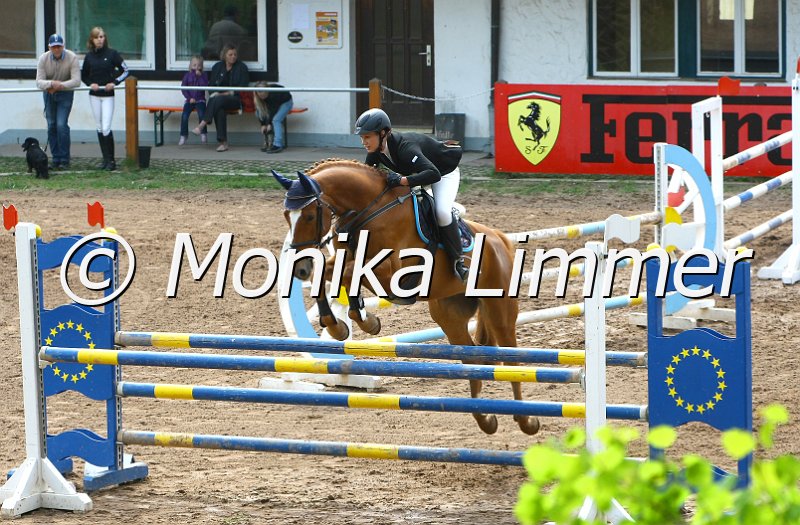 104M3667_Silvio_Springpf L.JPG